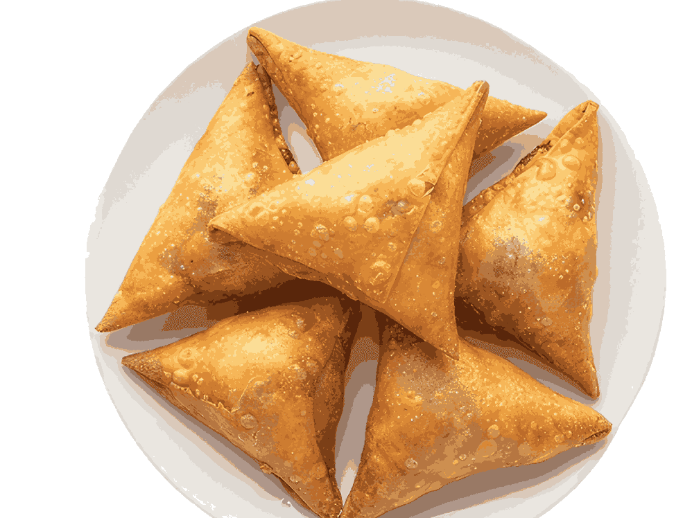 Mexican Samosa